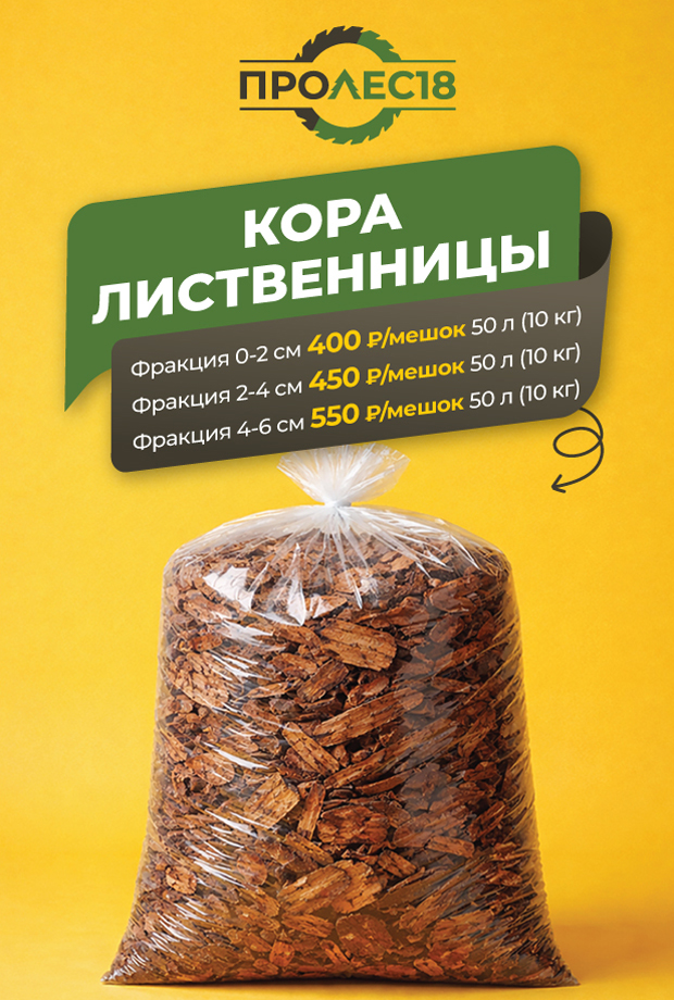 Кора лиственницы